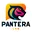 panteralab.co