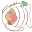 g