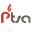 p