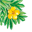 g