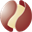 p