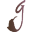 g