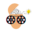 p