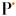 p
