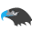 g