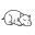 g