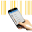 p