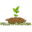 p
