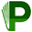 p