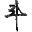 g