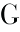 g
