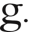 g