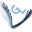 g