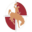 p