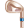 g