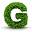 g