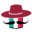 p