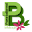 p