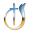 g