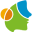 p