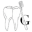g