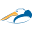 p
