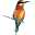 g
