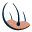 g