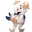 g