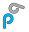 p