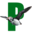 p