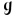 g
