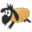 g