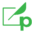 p