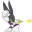 z