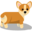 g