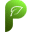 p