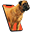 g