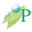 p