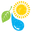 g