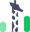 g