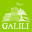 galilioliveoil.co.il