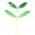 purelivingnutrition.com