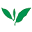 greenhilltea.com