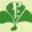p