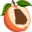 peachpundit.com