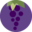 grapevineaudiology.com