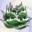 plantswith.com