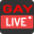 gaylive.online