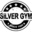 palestrasilvergym.com